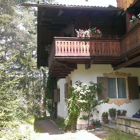 B&B Villa Dolomites Hut Сан Вигилио ди Маребе Екстериор снимка