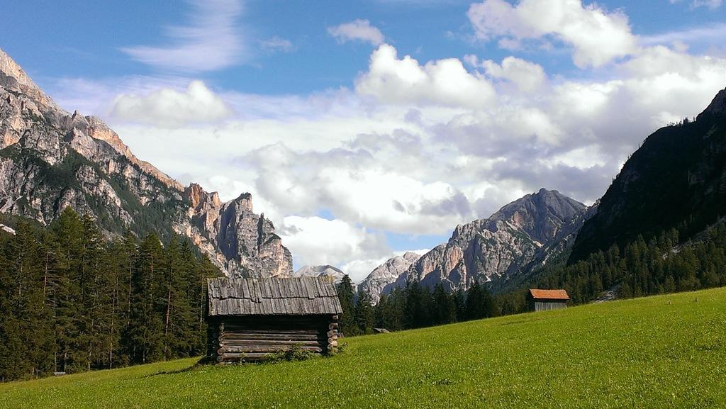 B&B Villa Dolomites Hut Сан Вигилио ди Маребе Екстериор снимка